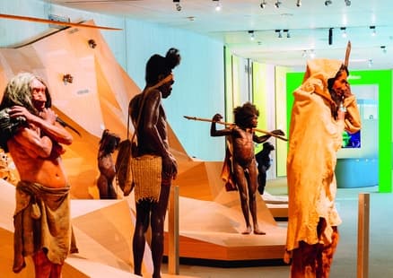 Nachbildung von verschiedenen Menschenarten auf Stammbusch in Ausstellung