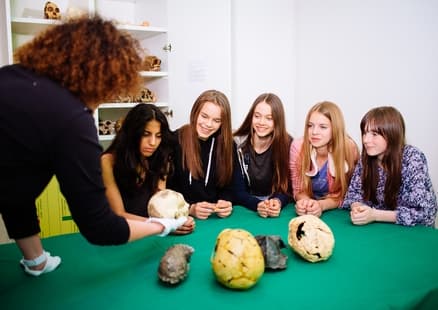 Untersuchung von Humanfossilien bei Workshop für Schulen in Steinzeitwerkstatt