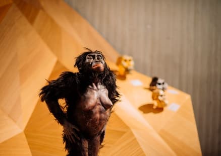 Rekonstruktion_Australopithecus afarensis_Lucy_Neanderthal Museum